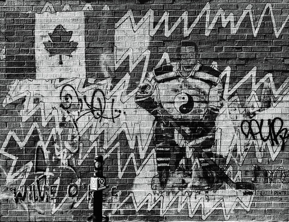 DSC_0786.jpg