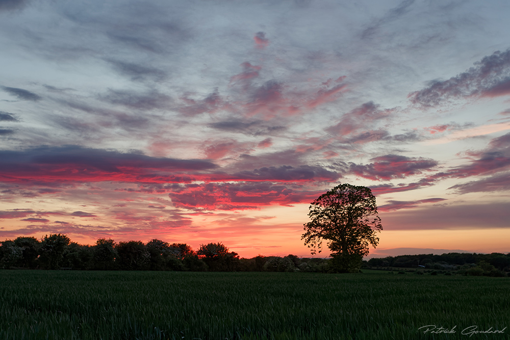 IMG_5107_DxO.jpg