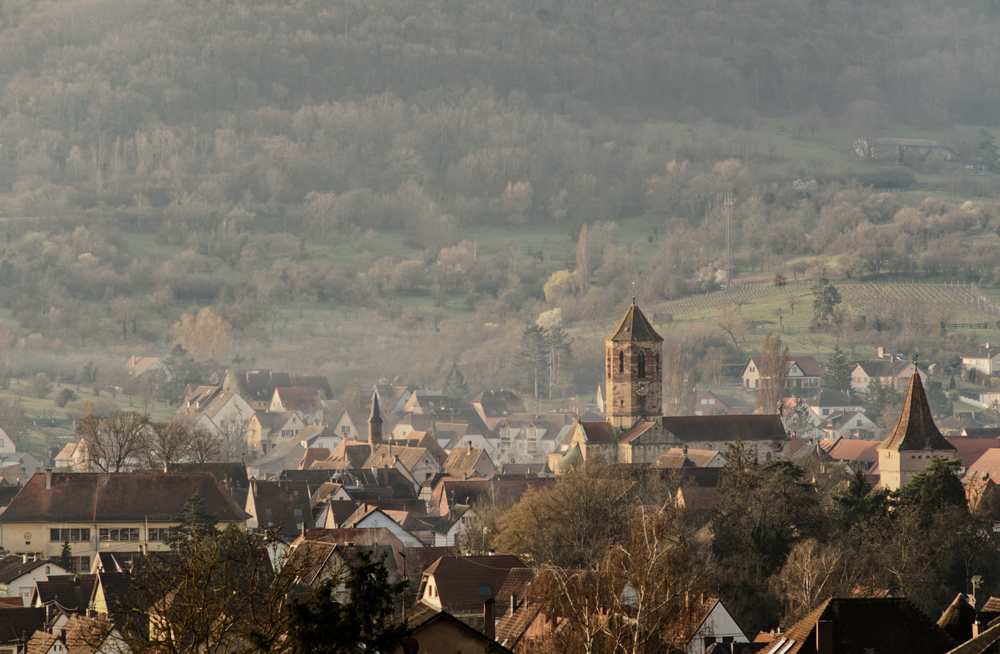 Rosheim 200mm (5).jpg