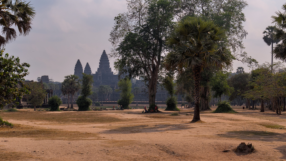 _1002663-r.jpg