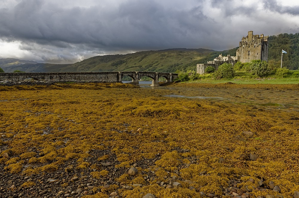 _A3A6185_DxO.jpg