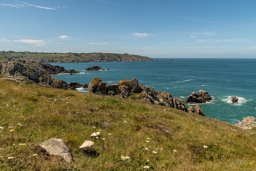 _DSC5554-2.jpg