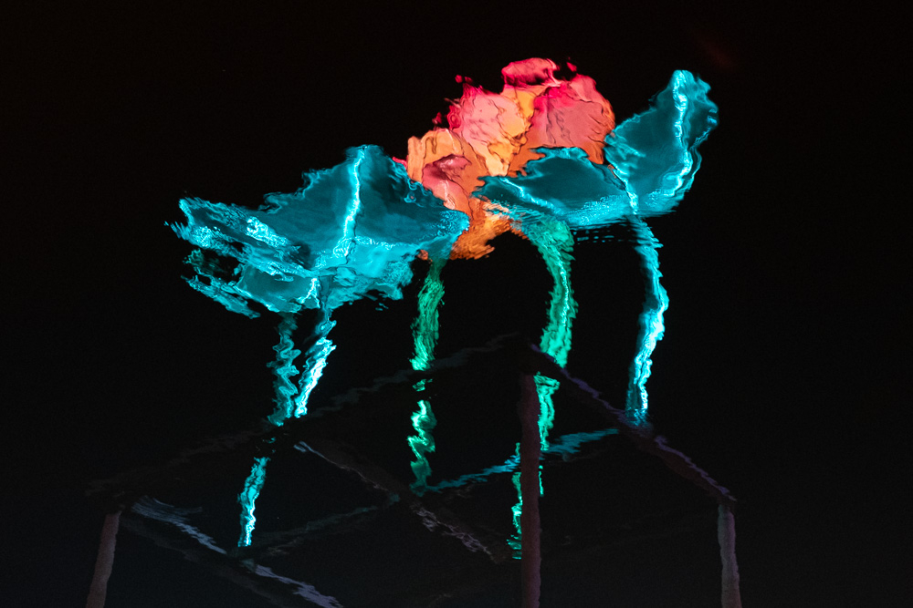 _DSF5619.jpg
