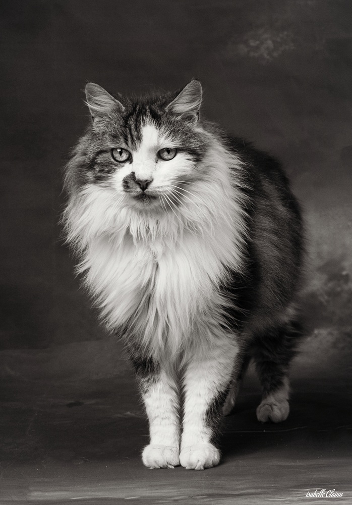 chat kirk 1 (1) fp.jpg