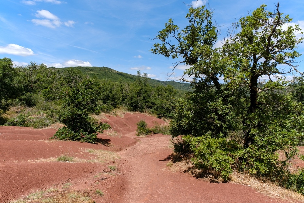 dunesMaraval1_11juin26_.jpg