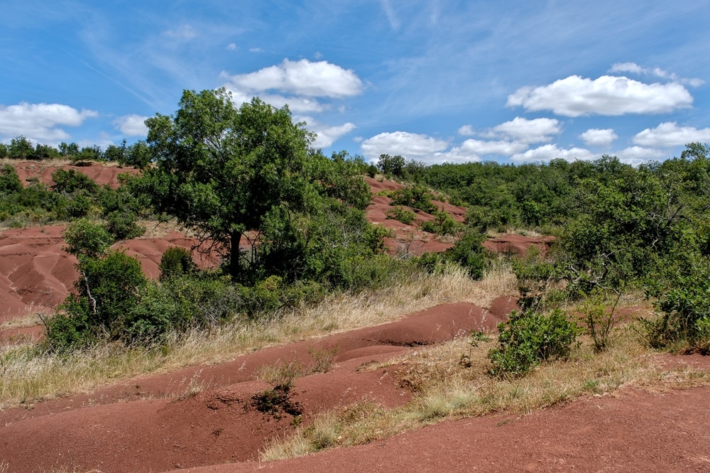 dunesMaraval5_11juin26.jpg