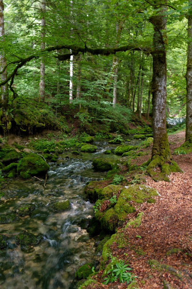 juin 2026 F Jura (108).jpg