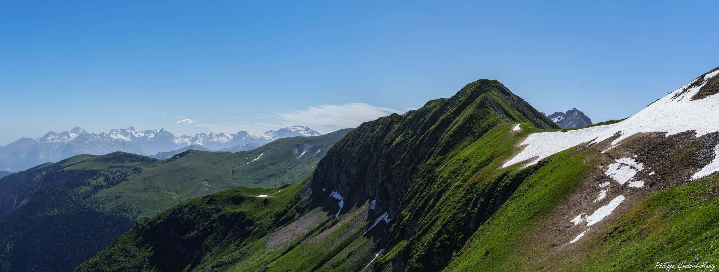 large.2026_06_15_008_Almet-Panorama.jpg