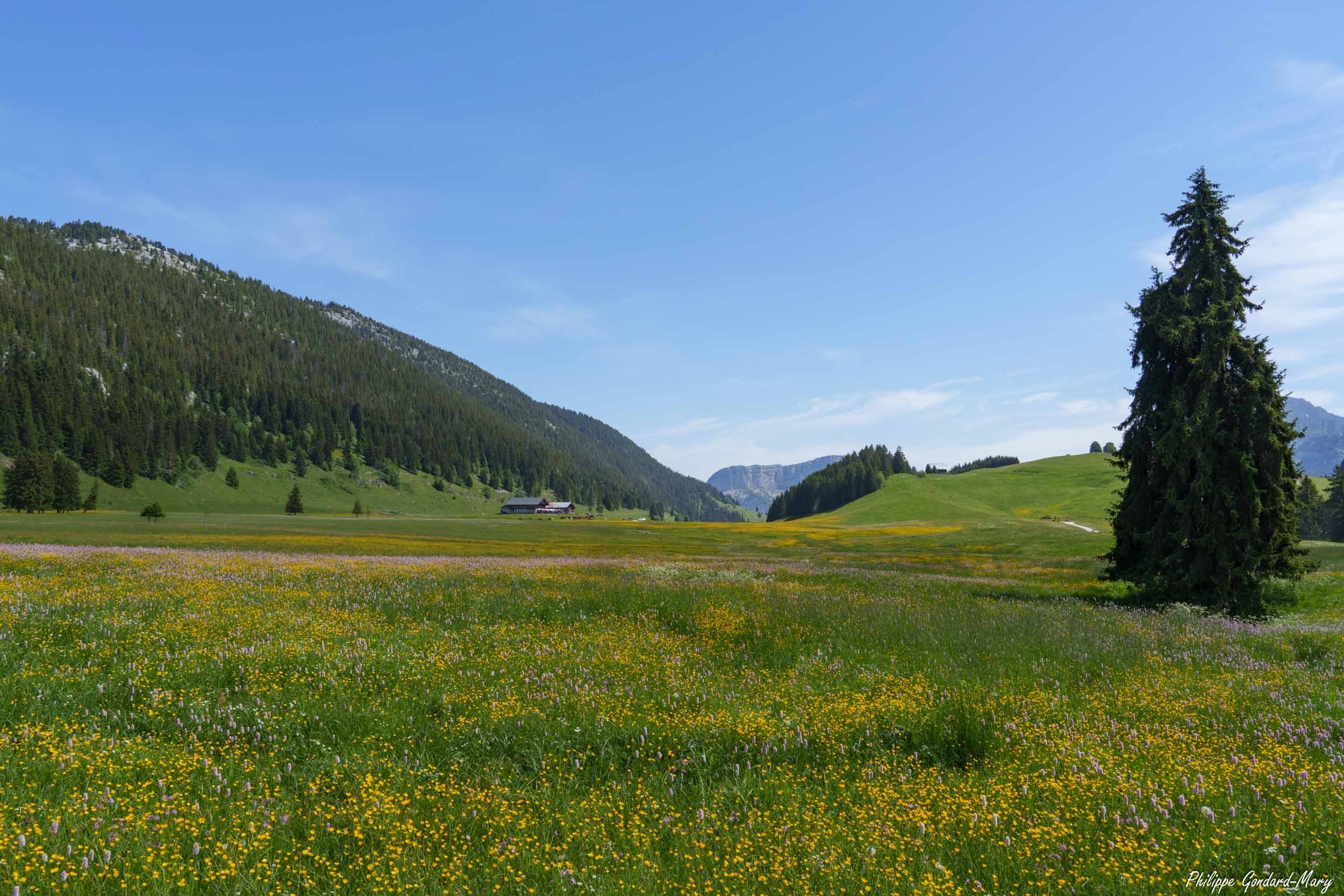 large.2026_06_16_003_Plateau_des_Glires.jpg