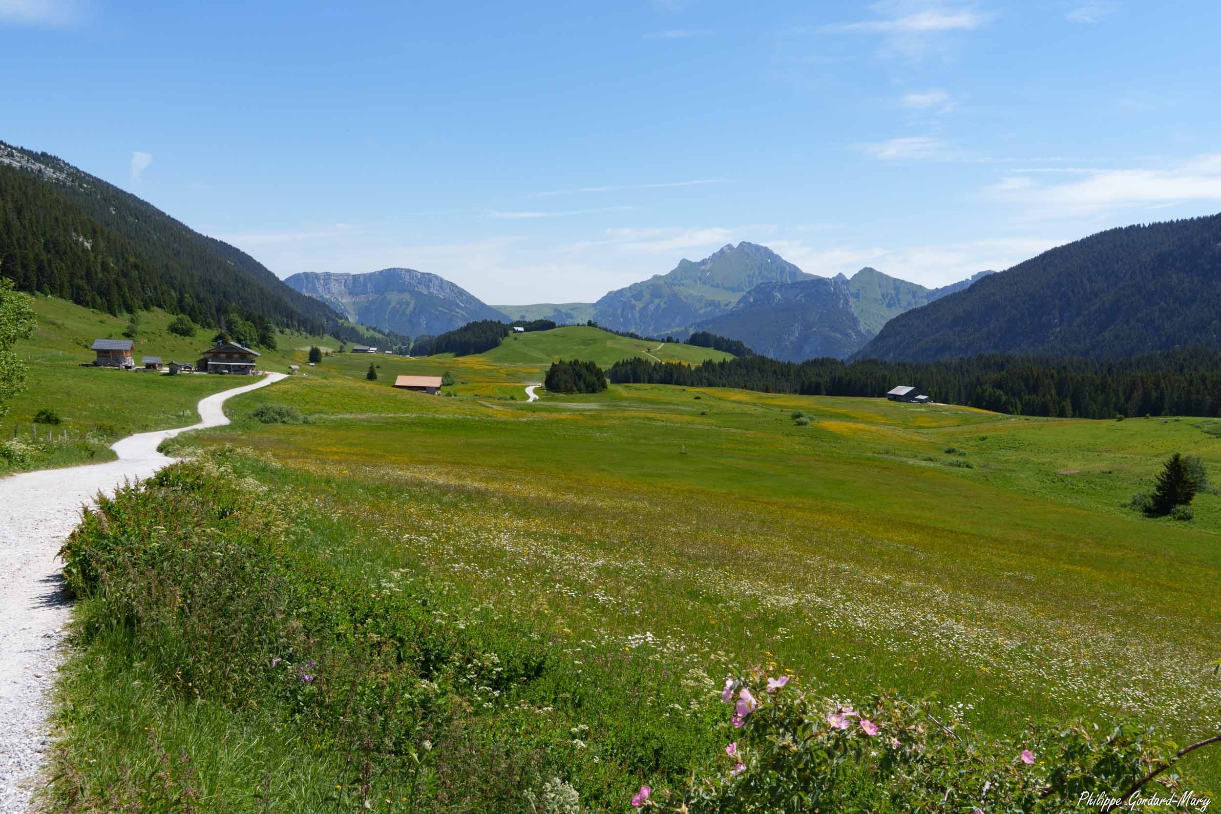 large.2026_06_16_004_Plateau_des_Glires.jpg