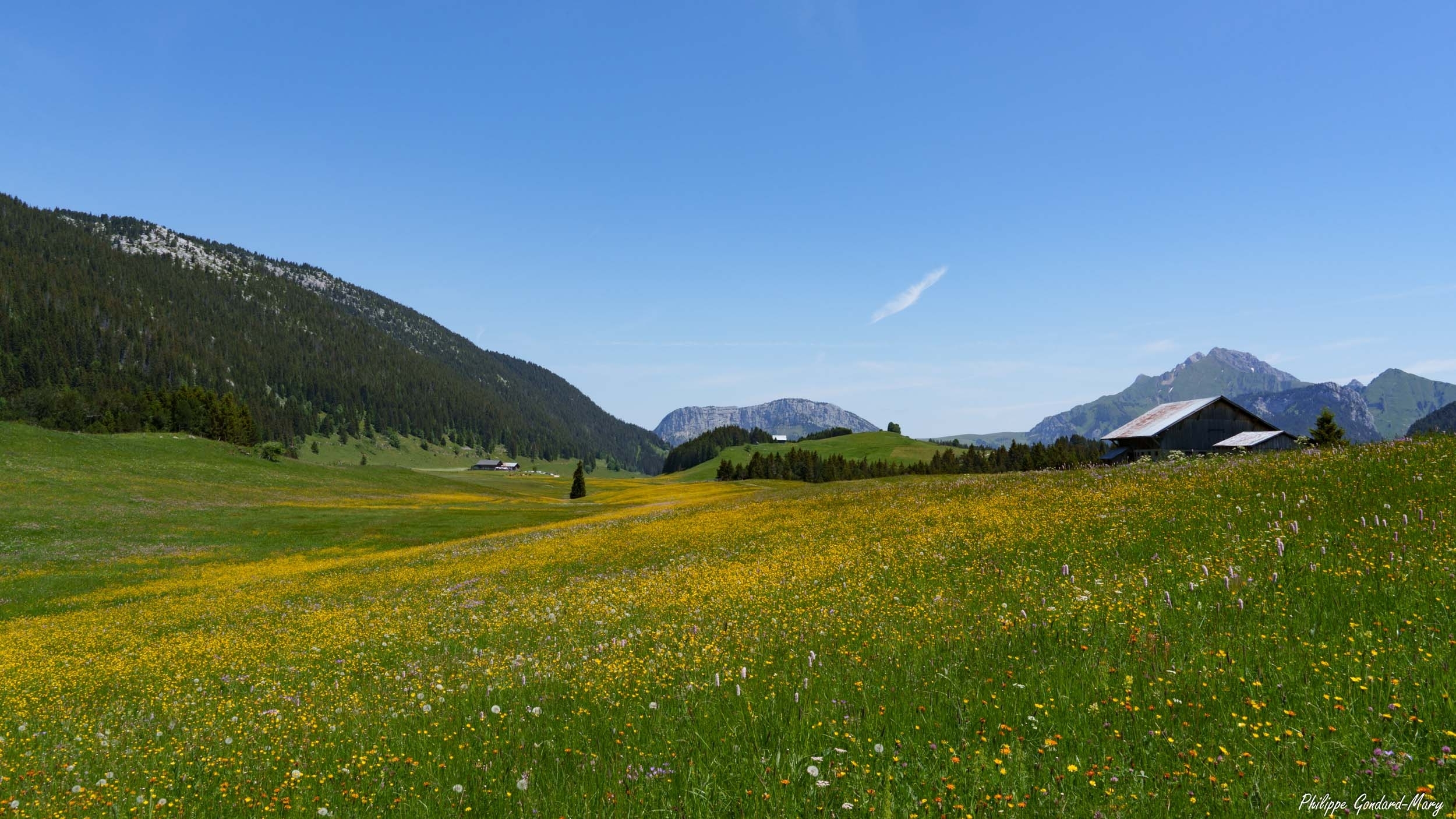large.2026_06_16_007_Plateau_des_Glires.jpg