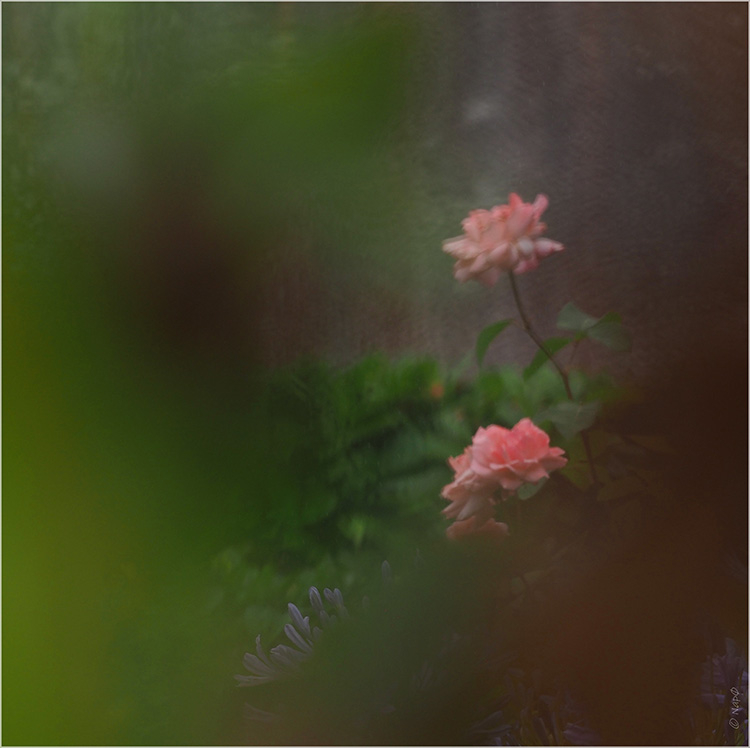 om_132p.jpg