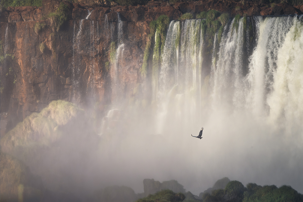 Iguazu5.jpg