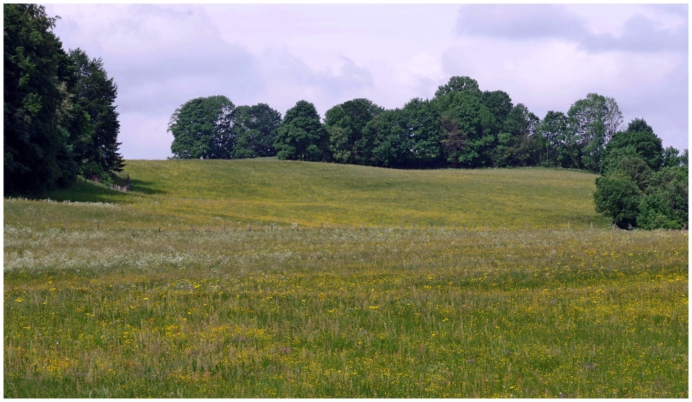 juin 2026 F  Jura (12).jpg