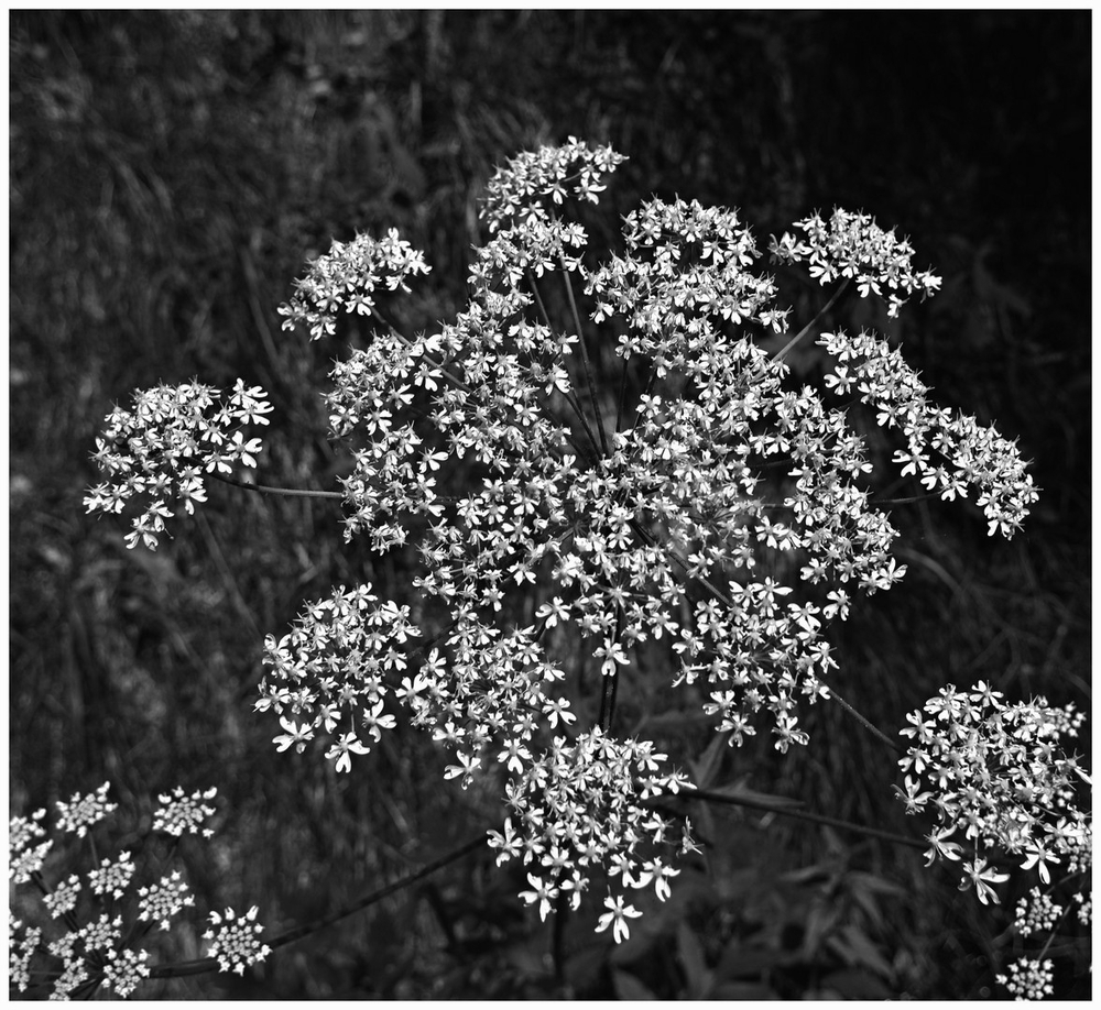 juin 2026 F  Jura (46).jpg