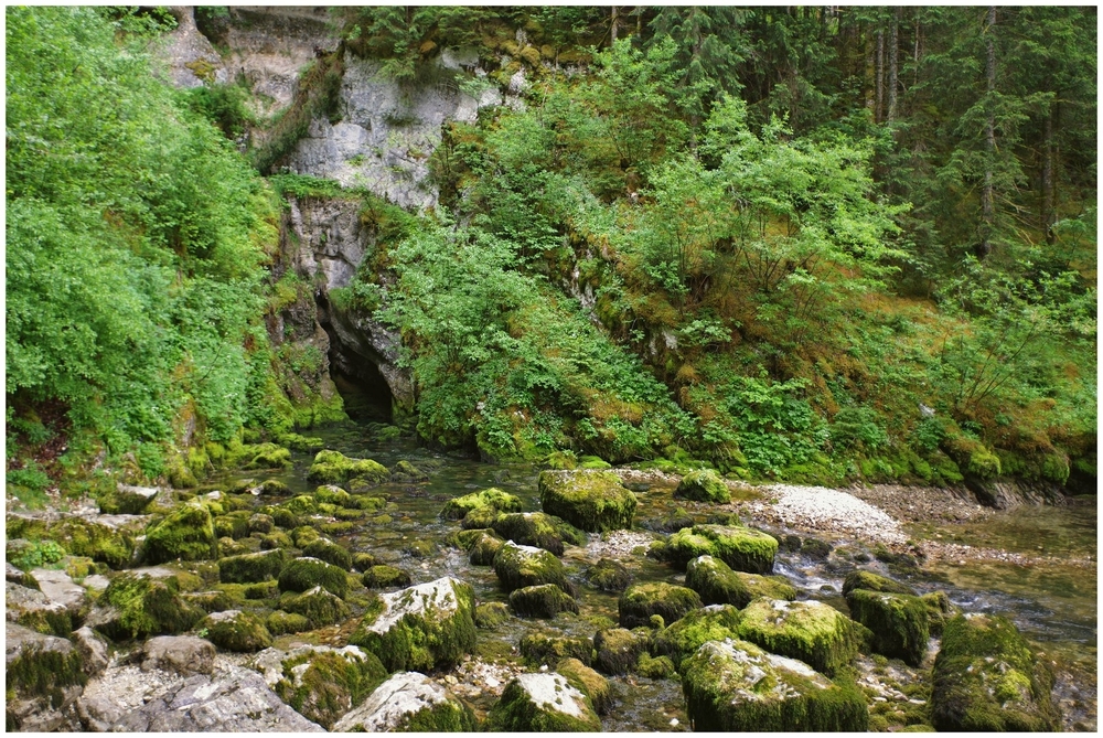 juin 2026 F  Jura (48).jpg
