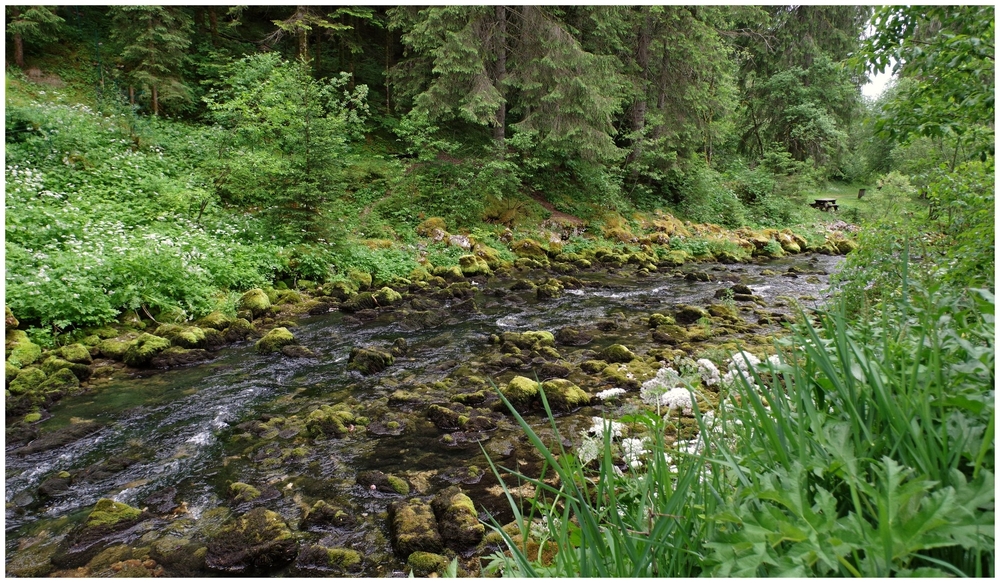 juin 2026 F  Jura (50).jpg