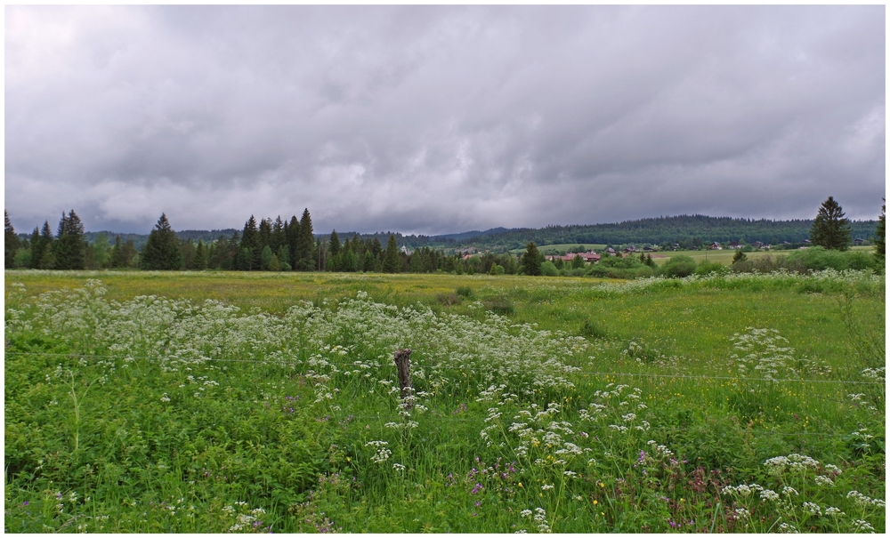juin 2026 F  Jura (56).jpg