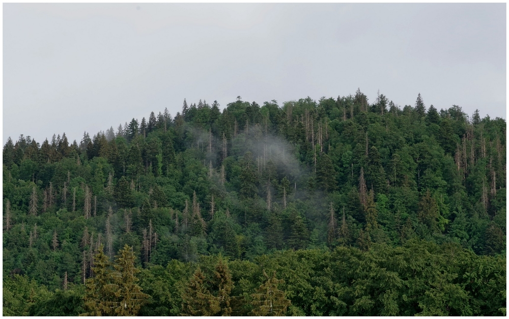 juin 2026 F  Jura (57).jpg