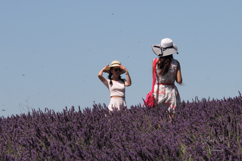 2019 en provence valensole 7.jpg