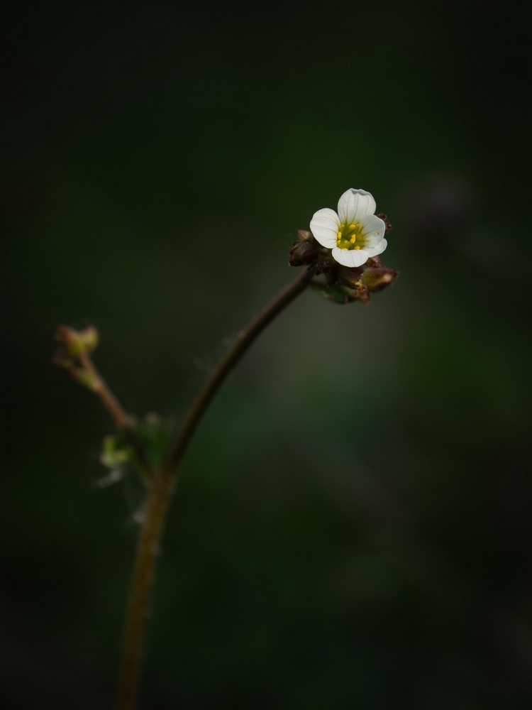 2G6A8672.jpg
