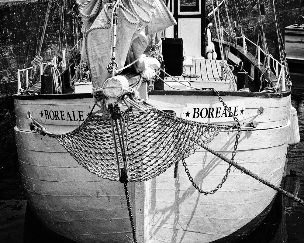 Boreale-FP-L1002405.jpg