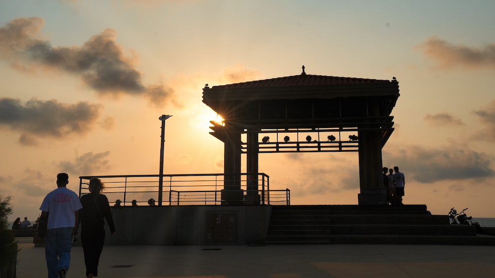 DSC06353-2.jpg