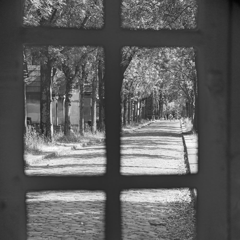 DSC_0012.jpg
