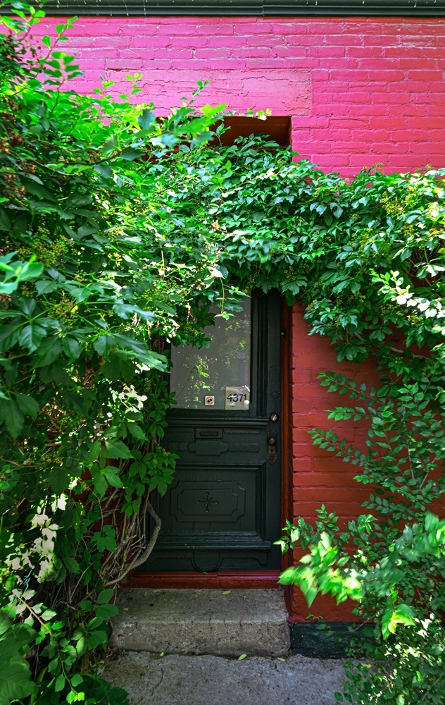 DSC_0098.jpg