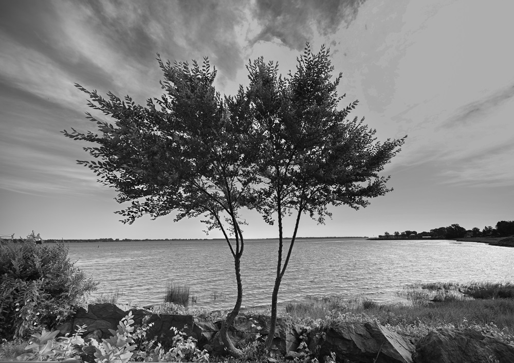 DSC_0116.jpg