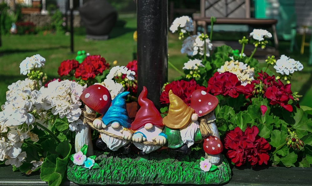 DSC_0122.jpg