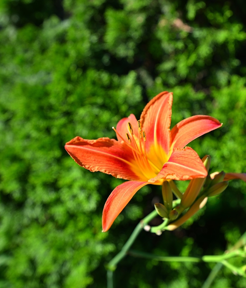 DSC_0126.jpg