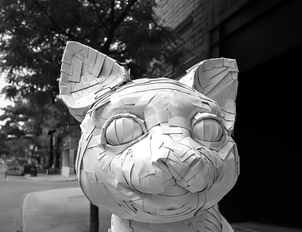 DSC_0152.jpg
