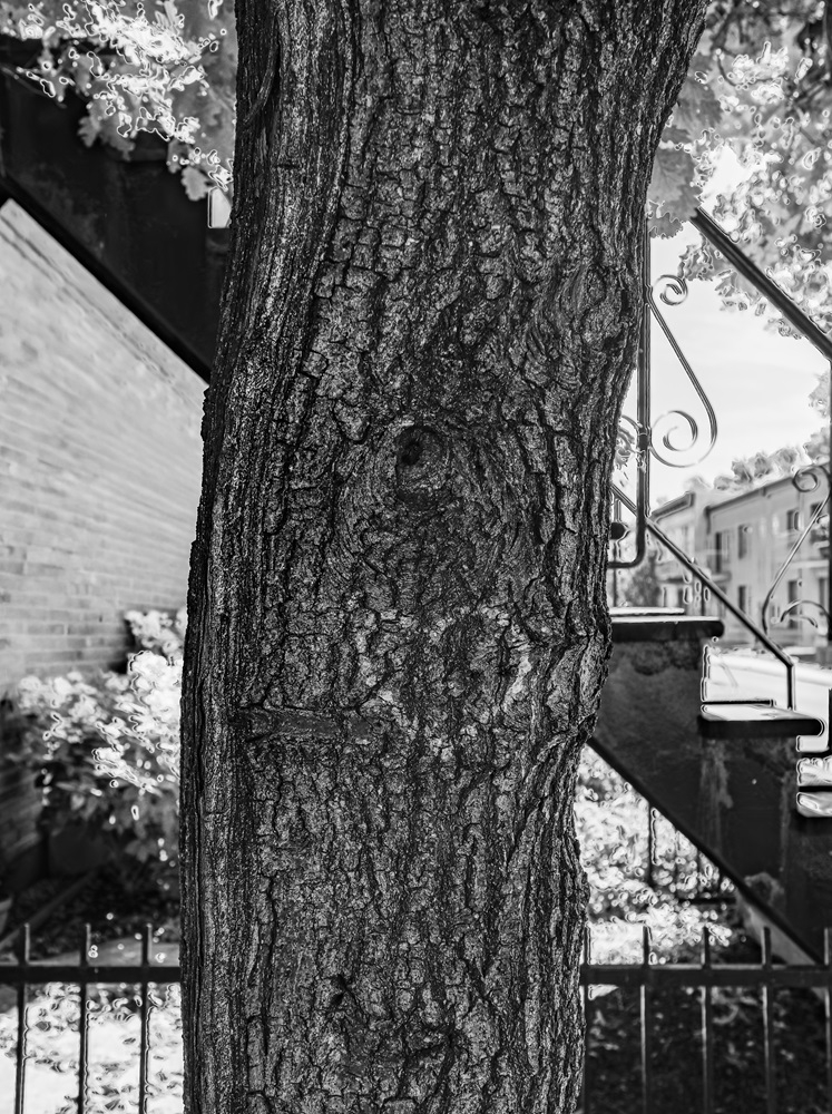 DSC_0215-HDR-2.jpg