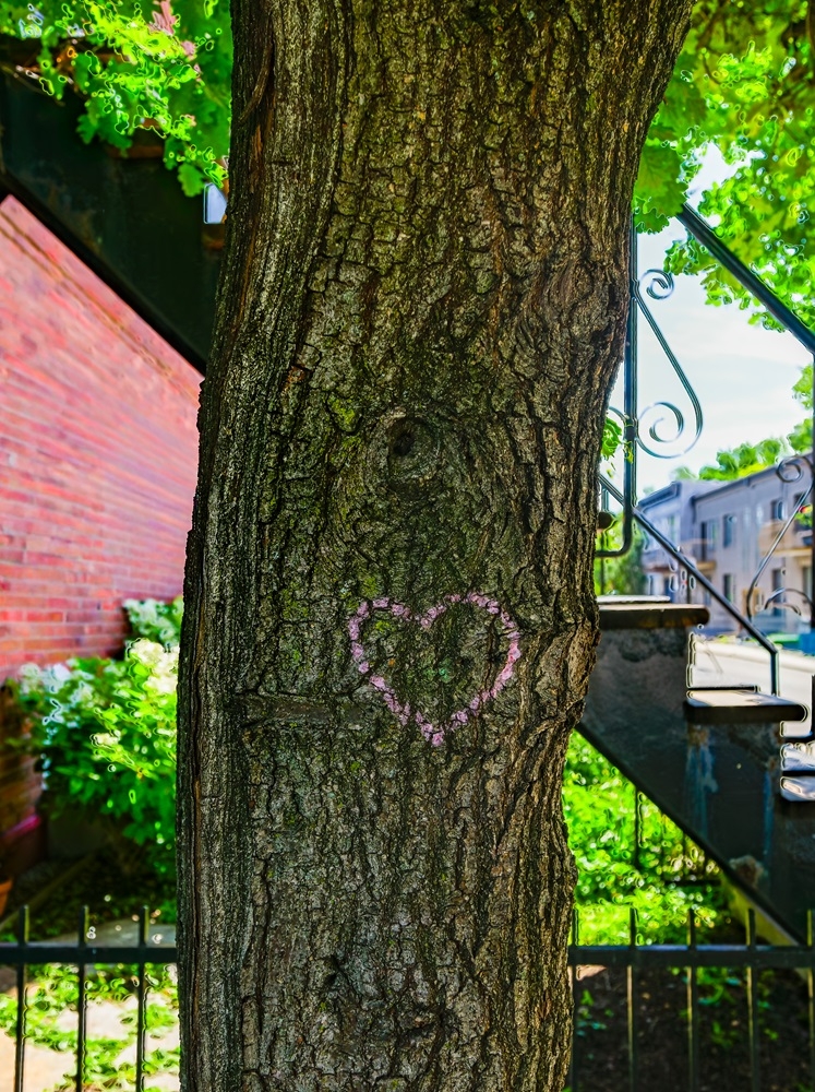 DSC_0215-HDR.jpg