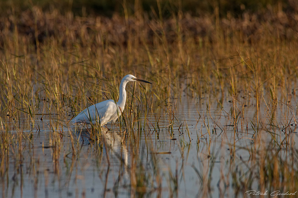 IMG_7845_DxO-1_DxO.jpg