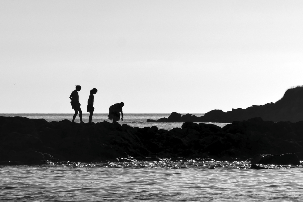 P1420345a1-NbAuto-32-1000.JPG