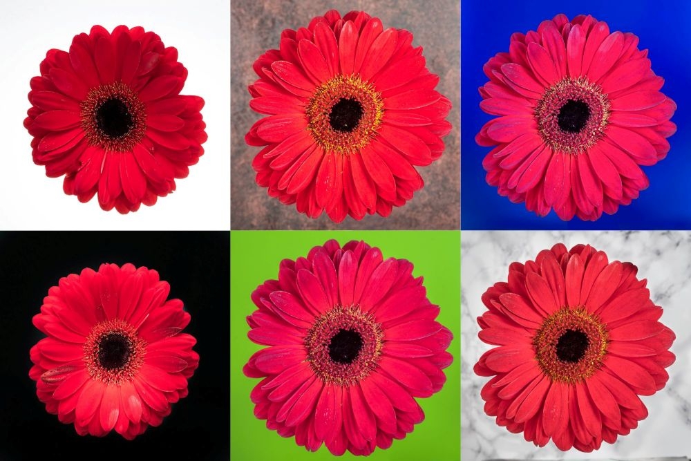 Warhol.jpg