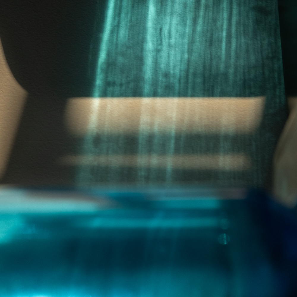 _DSF6909.jpg