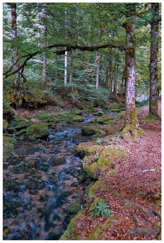 juin 2026 F Jura (108)_1.jpg