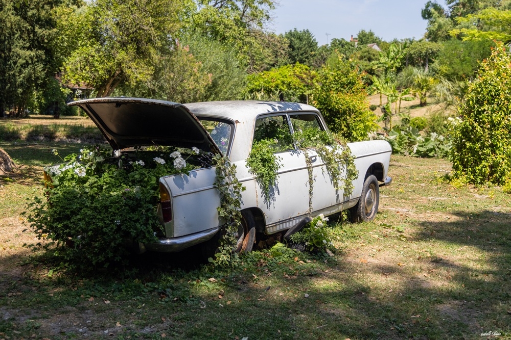 vieille voiture fleurie-1 fp.jpg