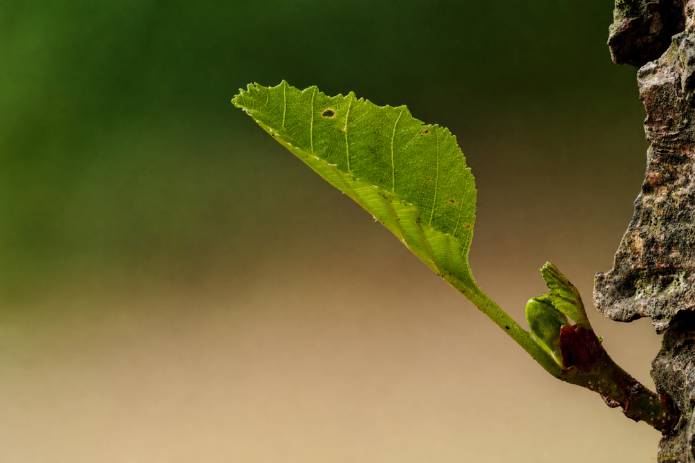 2026-08-20 16-25-37 (B,R8,S5) - reflet supprime.jpg