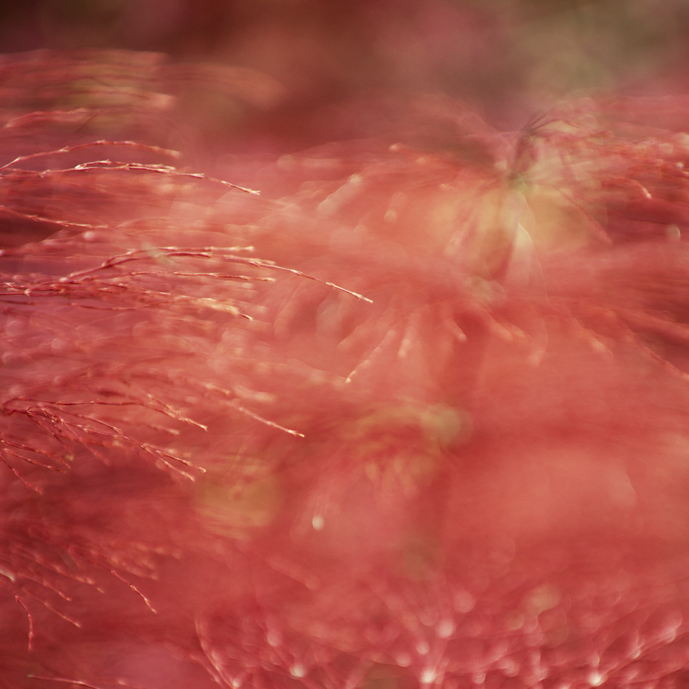 772red.jpg
