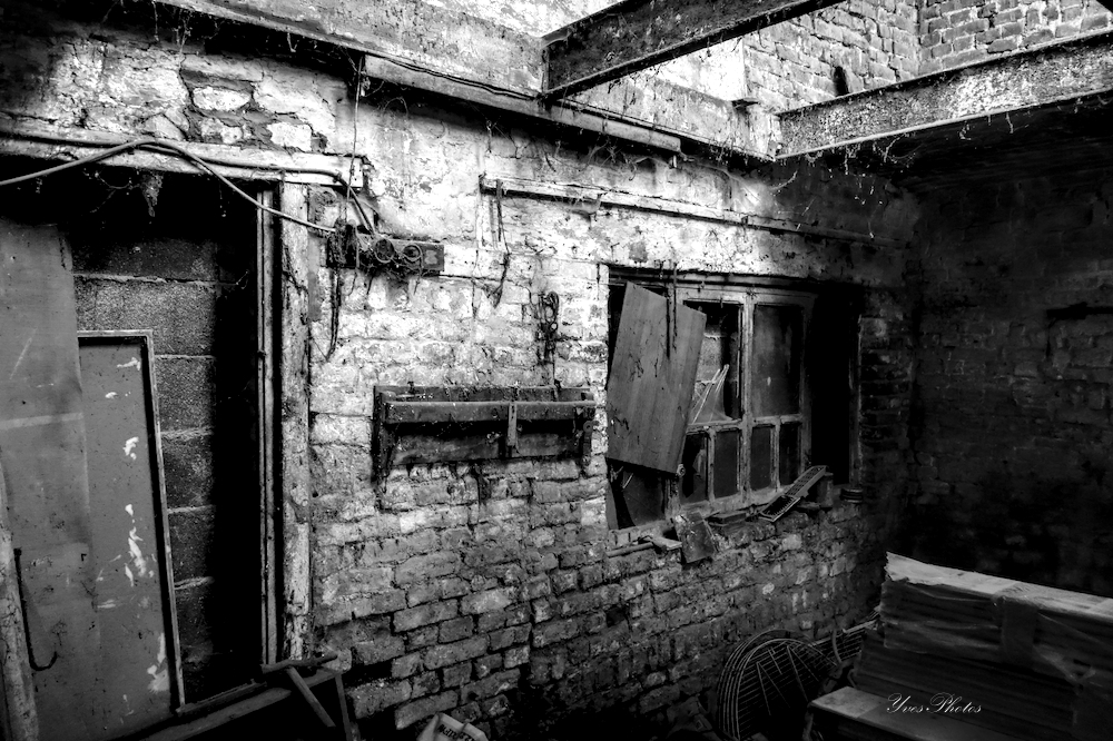 DSC09171-forum_03.jpg