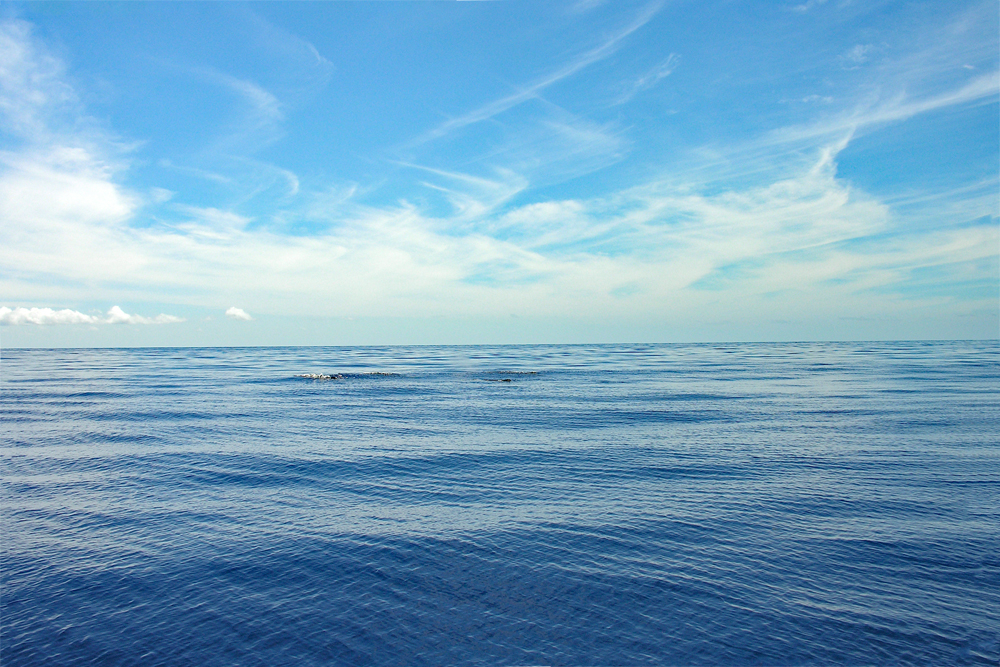 DSCN1571.jpg