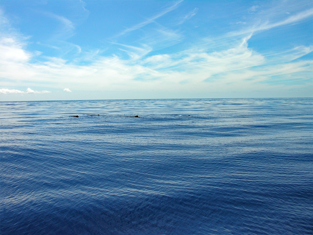 DSCN1573.jpg