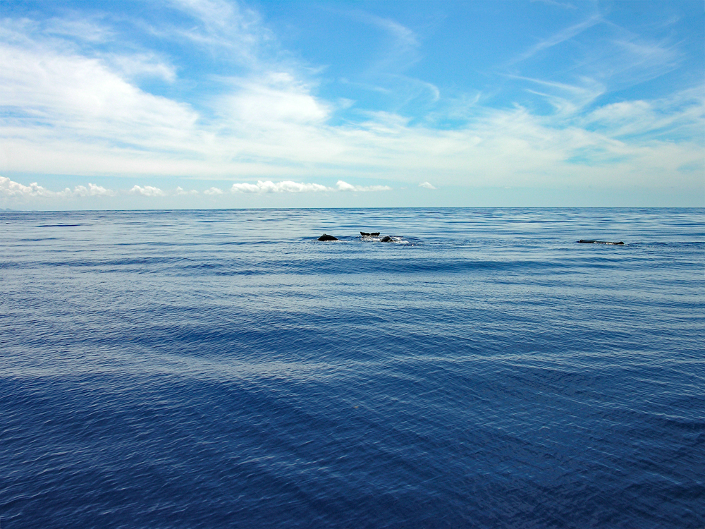 DSCN1575.jpg