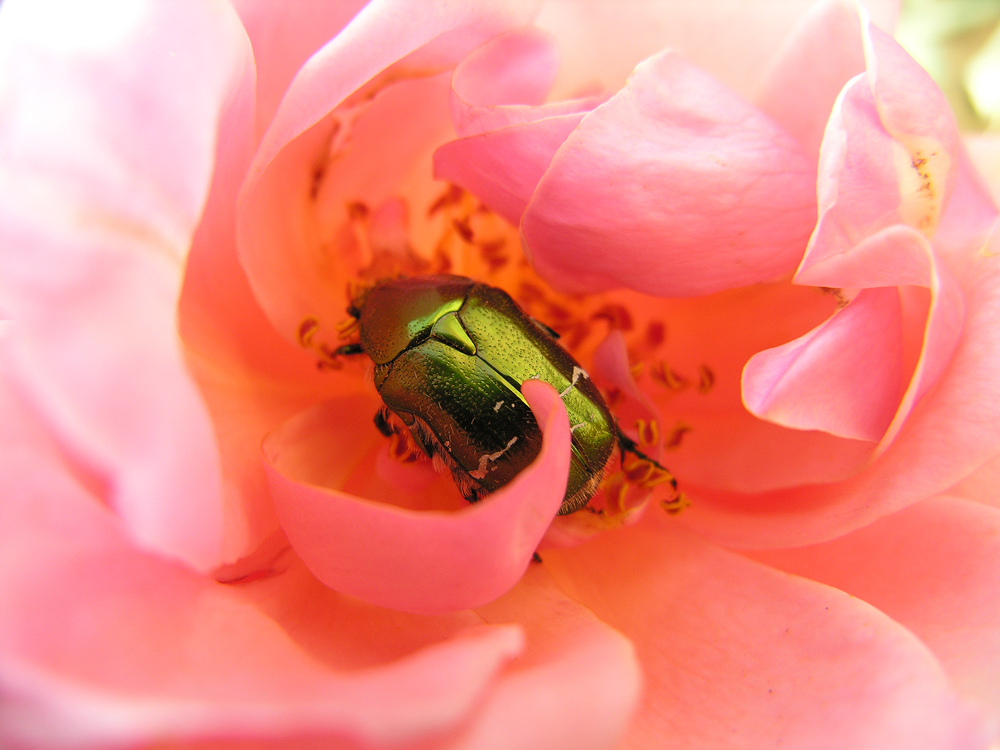DSCN3416.jpg