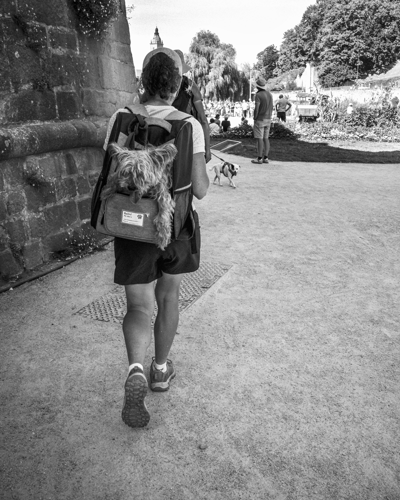 La-femme-et-le-chien-FP_R0000316.jpg