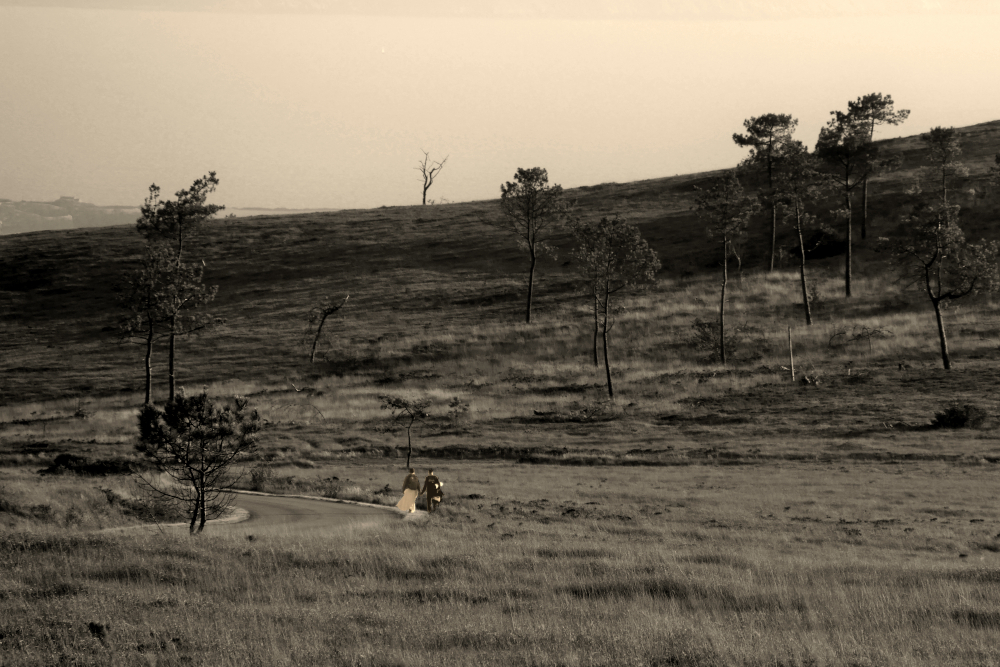 P1420788a32-3NB8-1000.JPG